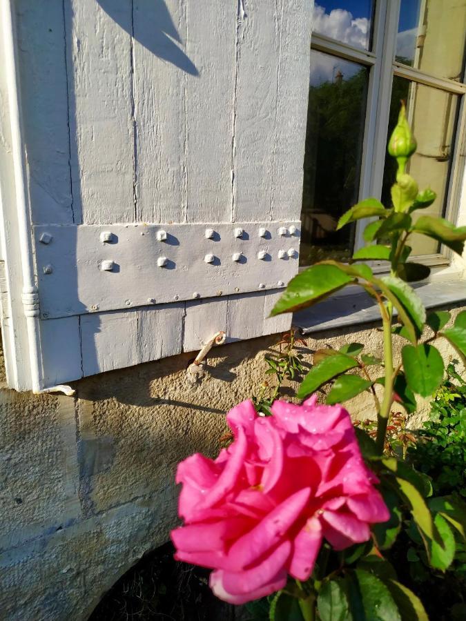 Le Gîte du Trésor Montreuil-Bellay Esterno foto
